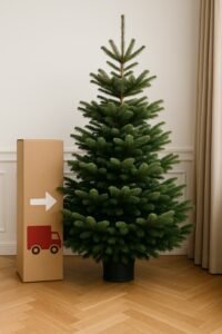 Choinka premium z dostawą w Warszawie