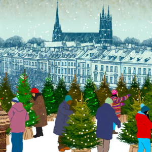 sprzedaż choinek legnica