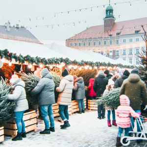 sprzedaż żywych choinek katowice